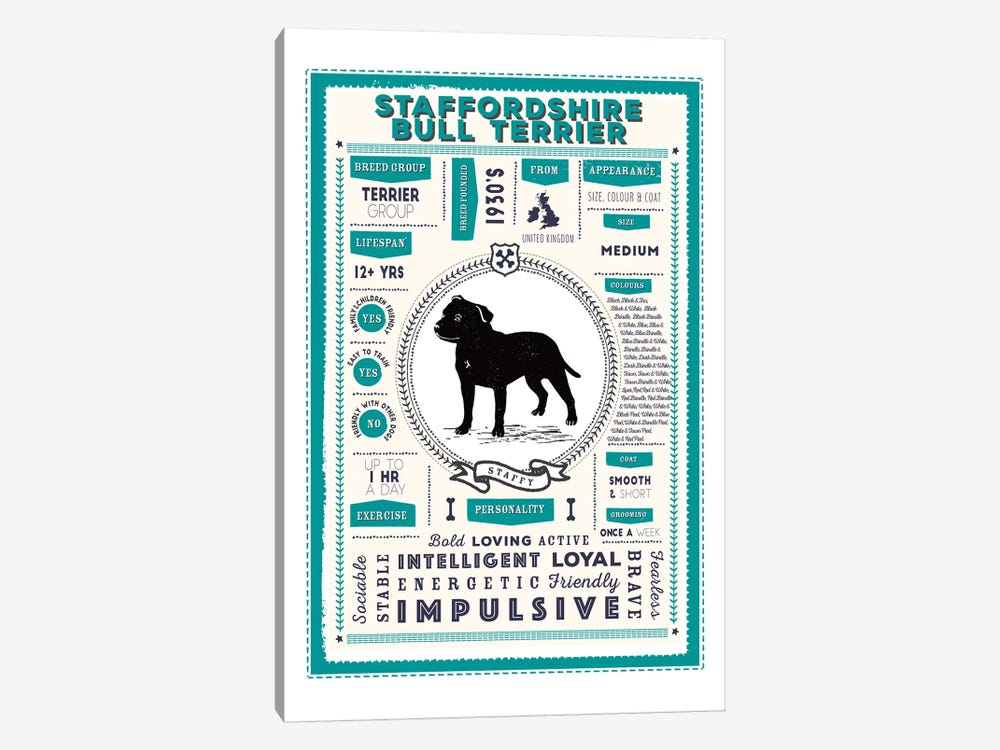 Staffordshire Bull Terrier Infographic Blue by PaperPaintPixels 1-piece Canvas Art Print