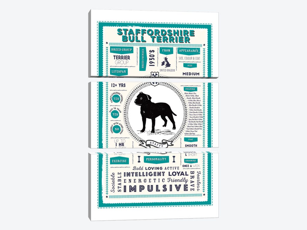 Staffordshire Bull Terrier Infographic Blue by PaperPaintPixels 3-piece Canvas Print