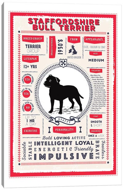 Staffordshire Bull Terrier Infographic Red Canvas Art Print - Pit Bull Art