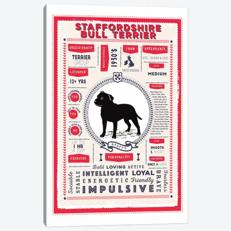 Staffordshire Bull Terrier Infographic Red Canvas Print #PPX259} by PaperPaintPixels Art Print