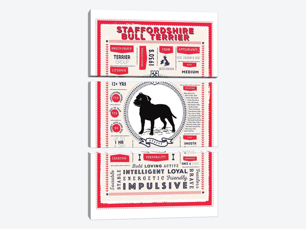 Staffordshire Bull Terrier Infographic Red by PaperPaintPixels 3-piece Canvas Artwork