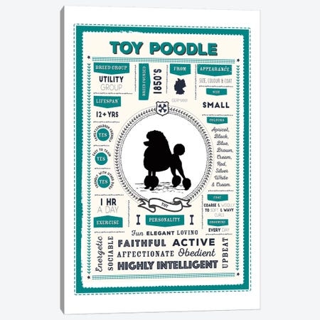 Toy Poodle Infographic Canvas Print #PPX260} by PaperPaintPixels Canvas Artwork
