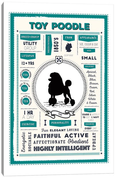 Toy Poodle Infographic Canvas Art Print - PaperPaintPixels