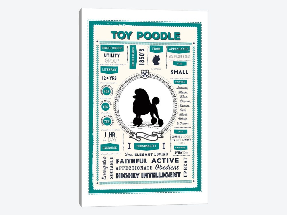 Toy Poodle Infographic by PaperPaintPixels 1-piece Canvas Art