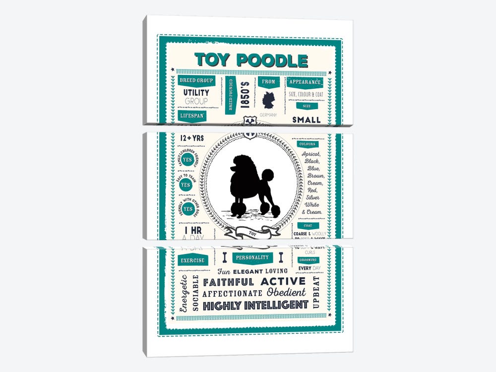 Toy Poodle Infographic by PaperPaintPixels 3-piece Canvas Artwork