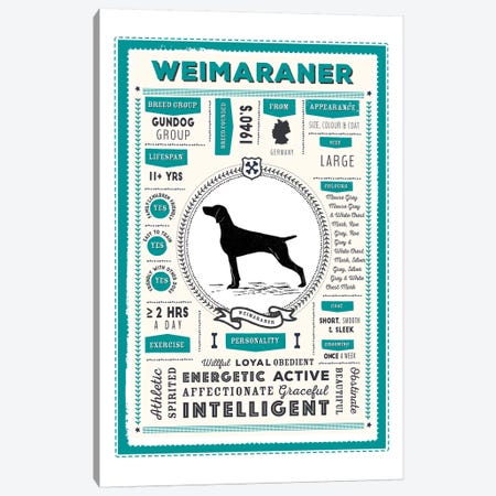 Weimaraner Infographic Blue Canvas Print #PPX261} by PaperPaintPixels Canvas Artwork