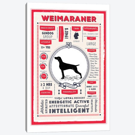 Weimaraner Infographic Red Canvas Print #PPX262} by PaperPaintPixels Canvas Art