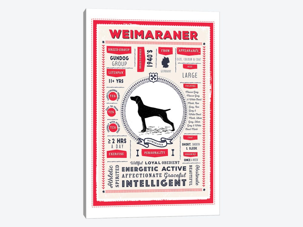 Weimaraner Infographic Red by PaperPaintPixels 1-piece Canvas Artwork