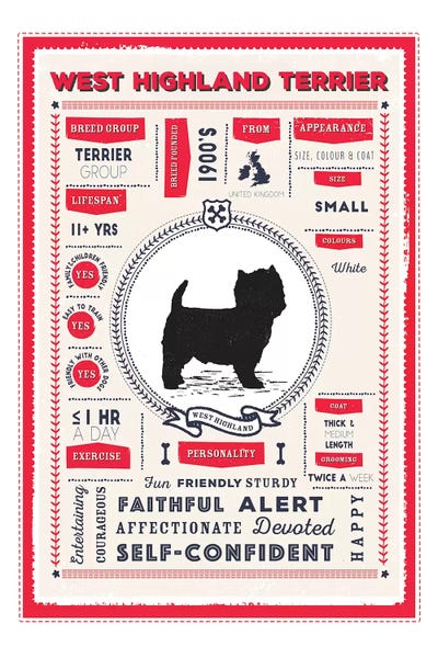 West Highland White Terriers: West Highland Infographic by PaperPaintPixels