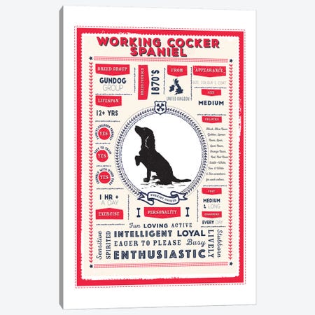 Working Cocker Spaniel Infographic Red Canvas Print #PPX265} by PaperPaintPixels Canvas Art Print