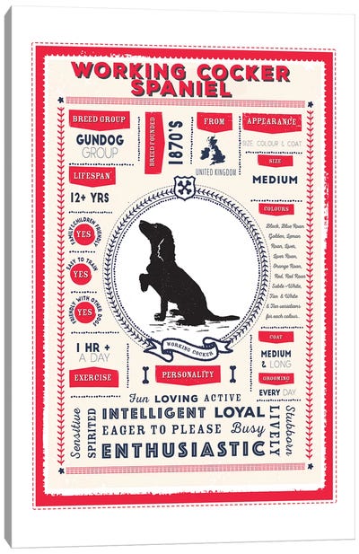 Working Cocker Spaniel Infographic Red Canvas Art Print - PaperPaintPixels