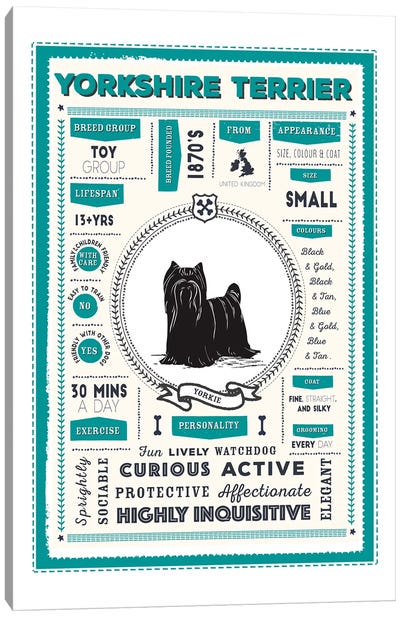Yorkshire Terrier Infographic Blue Canvas Art Print - PaperPaintPixels