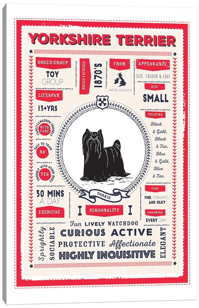Yorkshire Terrier Infographic Red Canvas Art Print - PaperPaintPixels