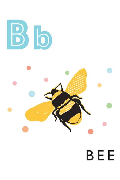 The Letter B: Illustrated Alphabet Flash Cards - B by PaperPaintPixels