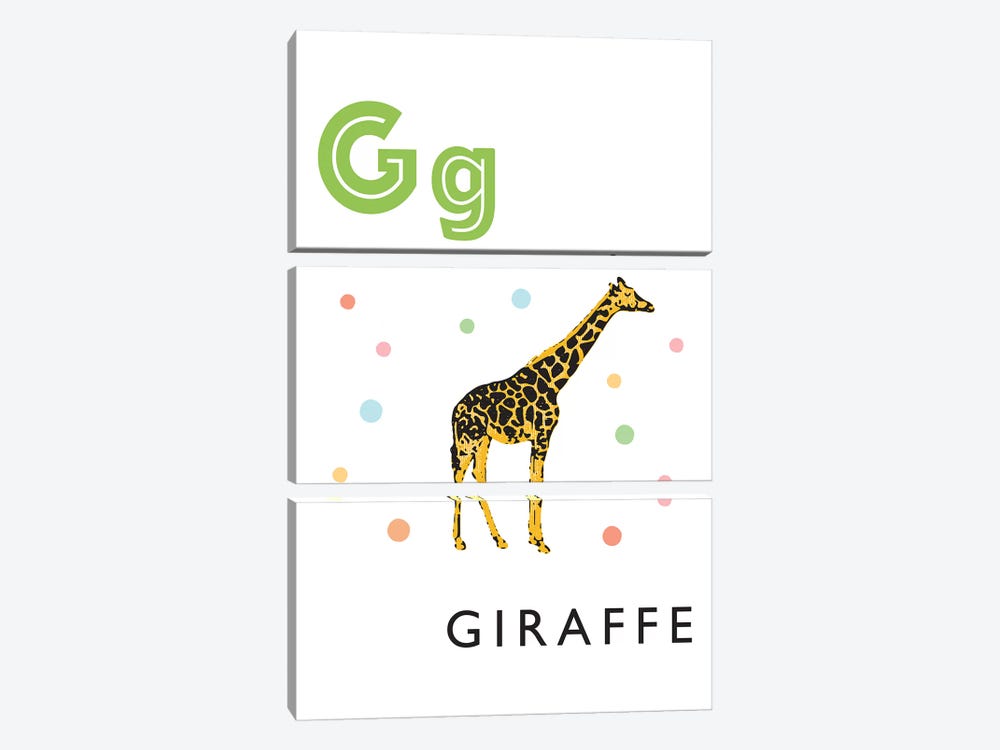Illustrated Alphabet Flash Cards - G by PaperPaintPixels 3-piece Canvas Print