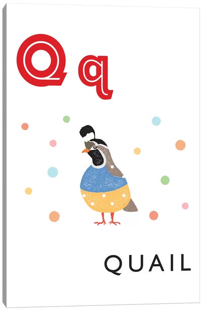 Illustrated Alphabet Flash Cards - Q Canvas Art Print - Letter Q