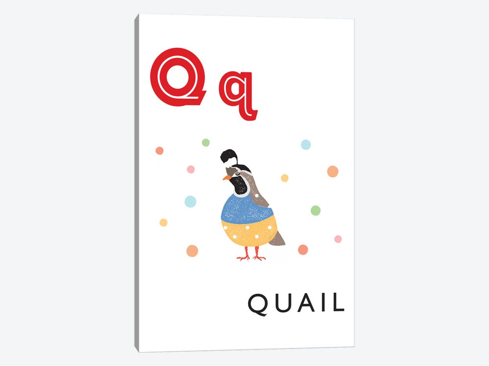 Illustrated Alphabet Flash Cards - Q by PaperPaintPixels 1-piece Canvas Wall Art