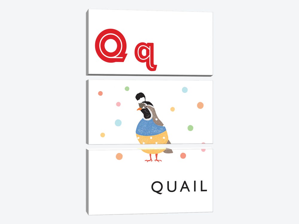 Illustrated Alphabet Flash Cards - Q by PaperPaintPixels 3-piece Canvas Wall Art