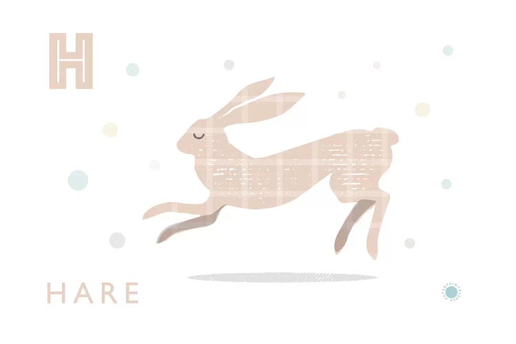 Hare