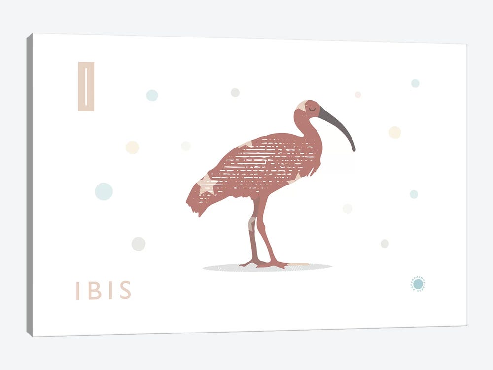 Ibis by PaperPaintPixels 1-piece Canvas Art Print