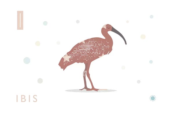 The Letter I: Ibis by PaperPaintPixels