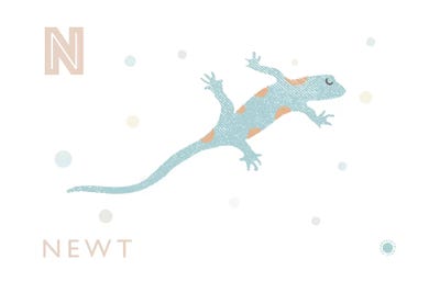 Newts