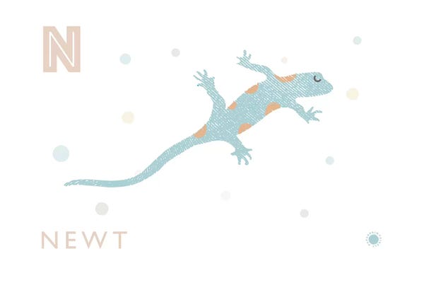 Newts