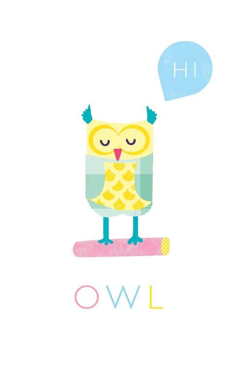 Owl