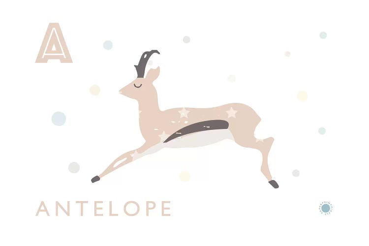 Antelope