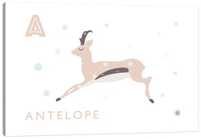 Antelope Canvas Art Print - Letter A