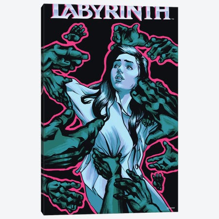 Labyrinth Canvas Print #PPY13} by Phillip Ray Canvas Artwork