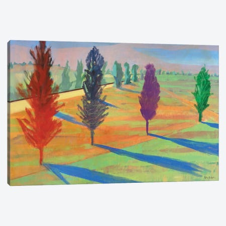 Prairie Stripes With Trees Canvas Print #PRD18} by Patty Rodgers Canvas Art