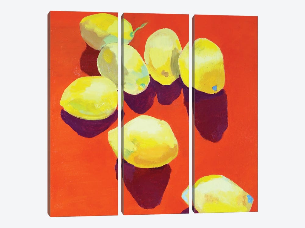 Array Of Lemons by Patty Rodgers 3-piece Canvas Wall Art