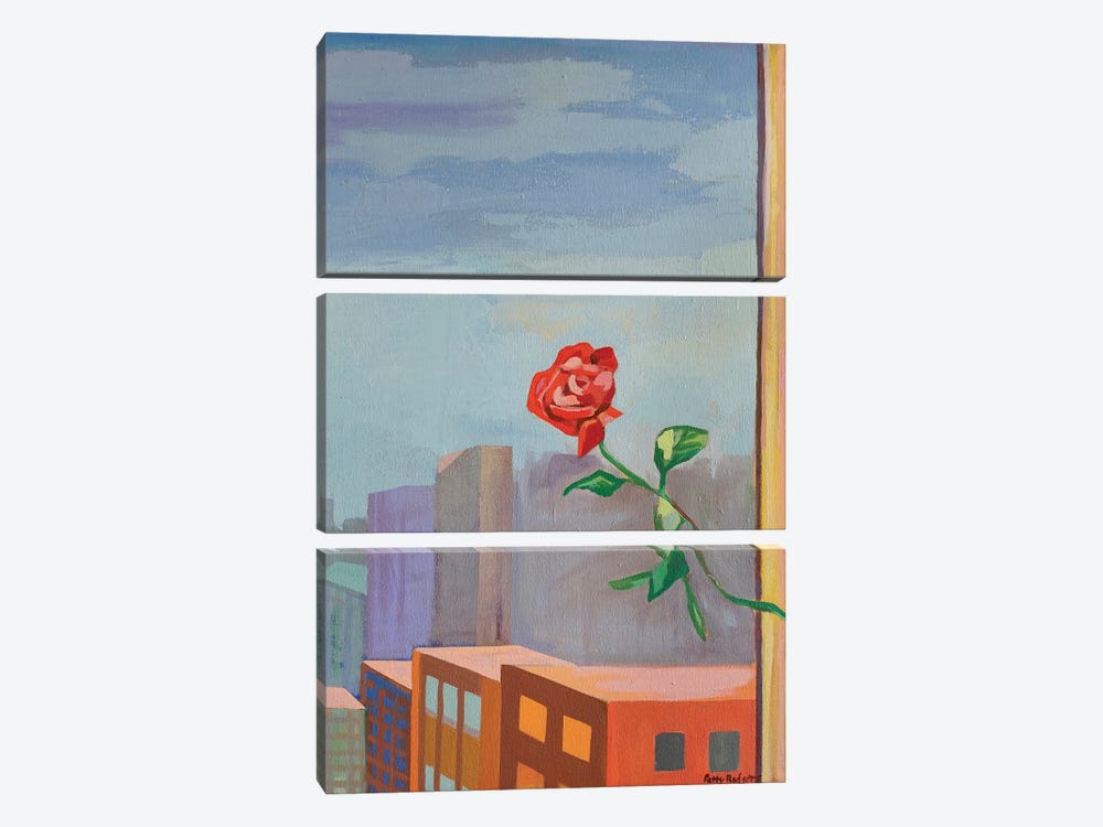 Rose Dream by Patty Rodgers 3-piece Canvas Artwork
