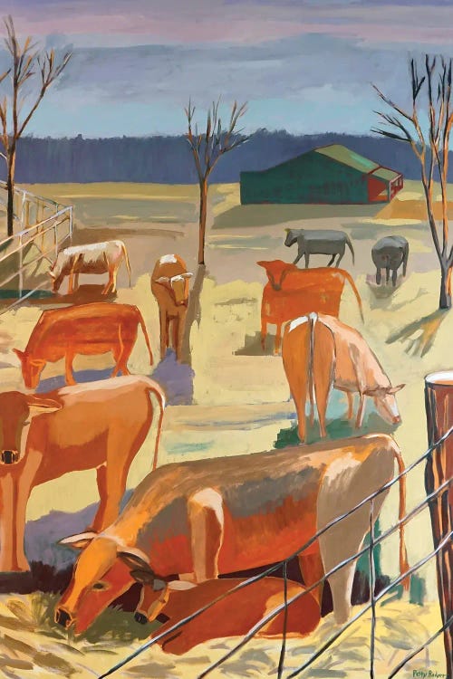 Cows In Shades Of Brown