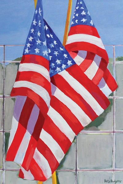 Flags On A Fence by Patty Rodgers framed wall art
