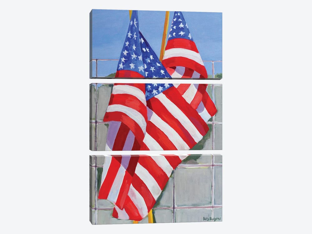Flags On A Fence by Patty Rodgers 3-piece Canvas Art