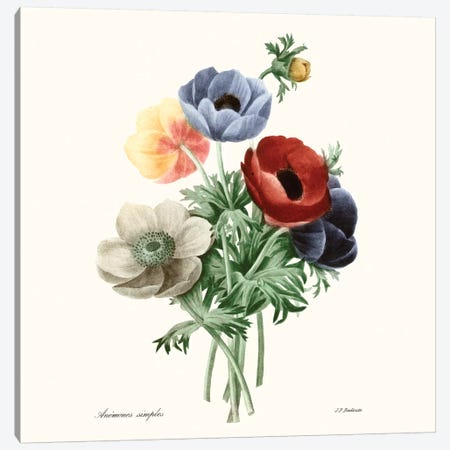 Blushing Bouquet I Canvas Print #PRE1} by Pierre-Joseph Redouté Art Print