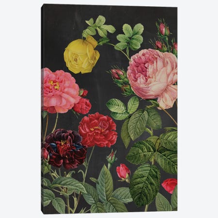Redoute's Bouquet II Canvas Print #PRE6} by Pierre-Joseph Redouté Canvas Wall Art