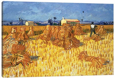 Harvest in Provence, June 1888 Canvas Art Print - Post-Impressionism Art