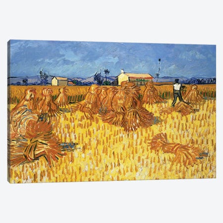 Harvest in Provence, June 1888 Canvas Print #PRE8} by Vincent van Gogh Art Print