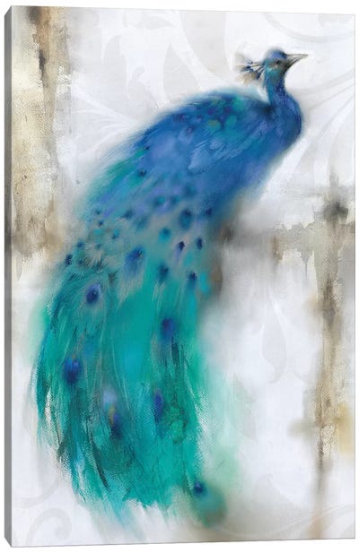 Jewel Plumes I Canvas Art Print - Peacock Art