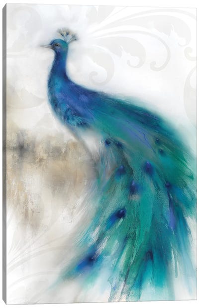 Jewel Plumes II Canvas Art Print - Peacock Art