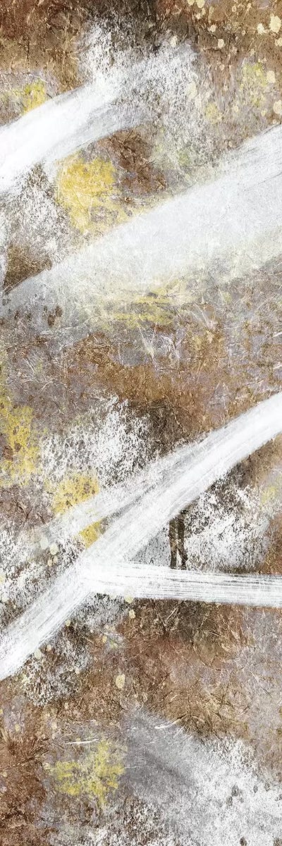 Stoned Distraction I by Marcus Prime canvas print