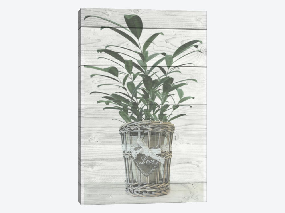 Loving Plant by Marcus Prime 1-piece Canvas Print