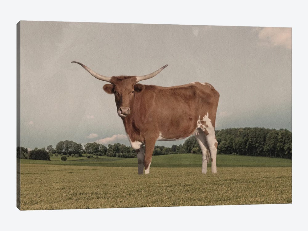 Desolate Steer by Marcus Prime 1-piece Canvas Artwork