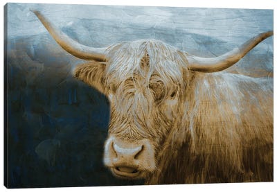 Marvelous Hairy Bull Canvas Art Print