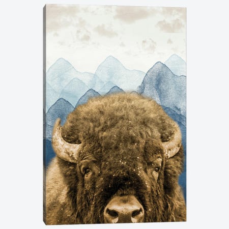 Mountain Fluffy Bison Canvas Print #PRM319} by Marcus Prime Art Print