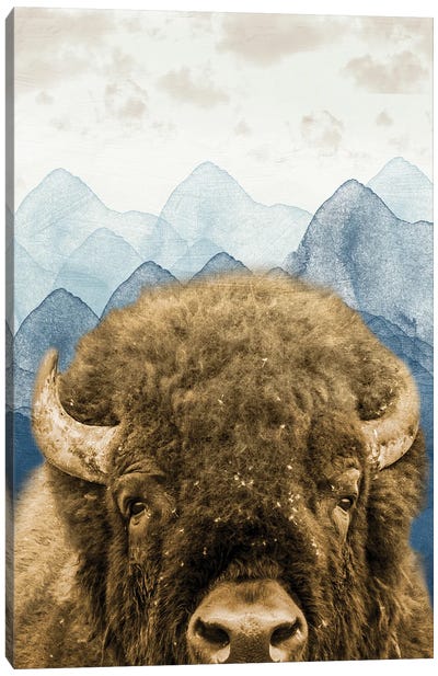 Mountain Fluffy Bison Canvas Art Print - Marcus Prime
