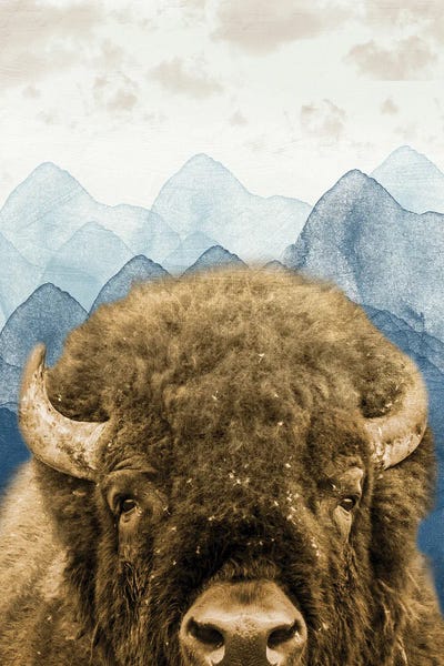 Bison & Buffaloes: Mountain Fluffy Bison by Marcus Prime
